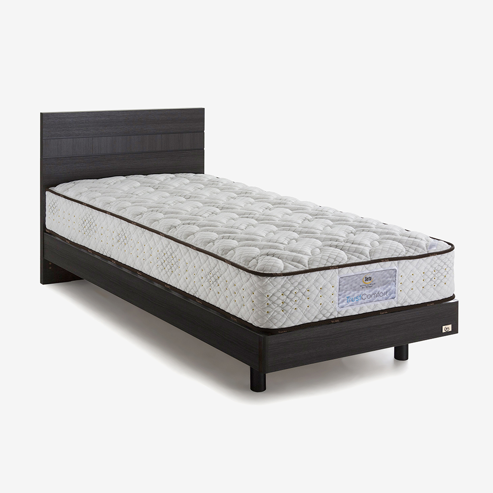Serta(サータ)のマットレスとフランスベッドのフレーム - ベッド