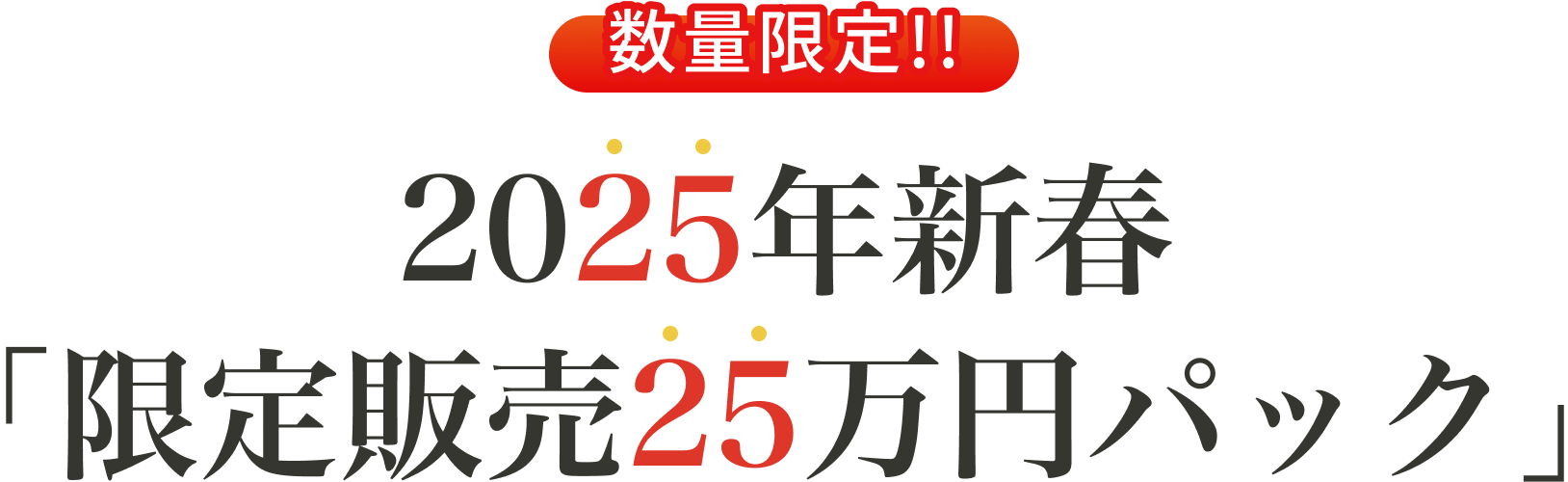 数量限定！！2025年新春「限定販売25万円パック」