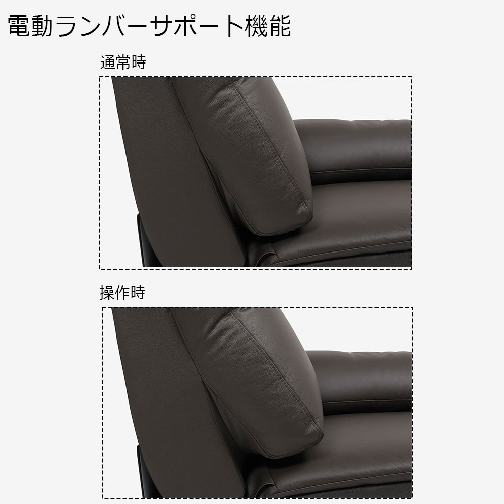 電動リクライニングワイドラブソファ 2人掛け「パストゥール 3モーター」幅171cm 半革張り#OM448ダークブラウン